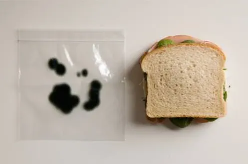 Bolsas anti-robo para la comida